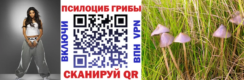 Купить  Когалым  Псилоцибиновые грибы Cubensis 